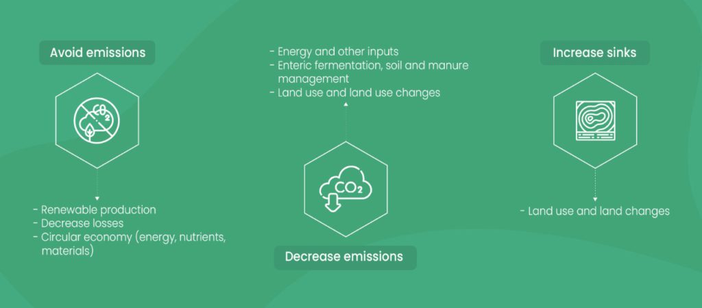 carbon neutrality, climate neutral, carbon footprint, carbon traceability