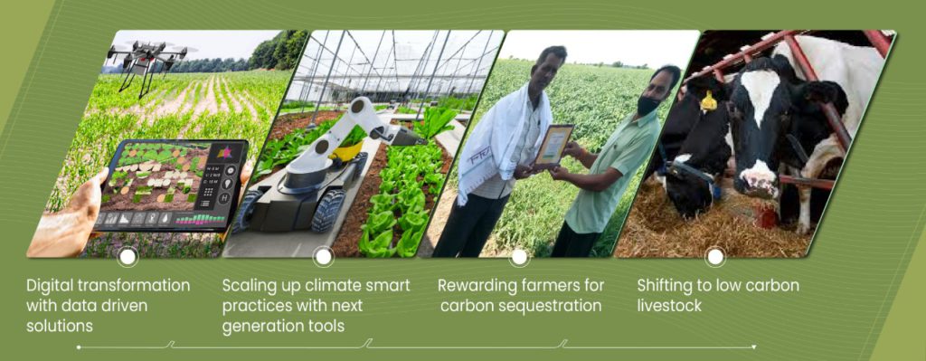 carbon neutrality, climate neutral, carbon footprint, carbon traceability