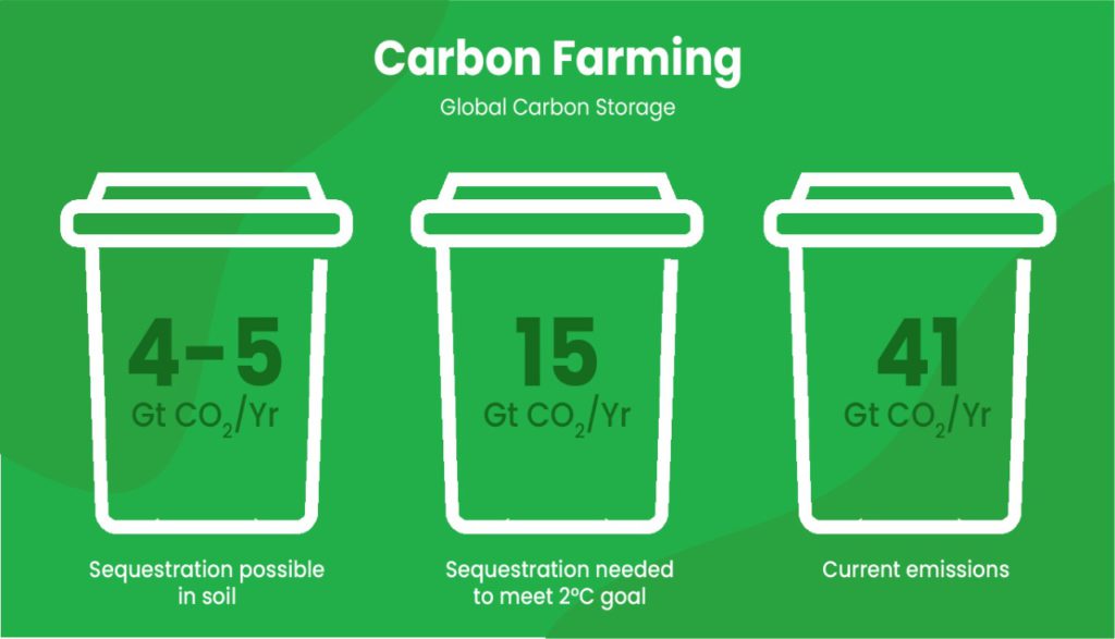 carbon neutrality, climate neutral, carbon footprint, carbon traceability