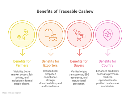 Traceability in the Cashew Supply Chain, Traceability in the Cashew Supply Chain, cashew traceability, cashew value chain