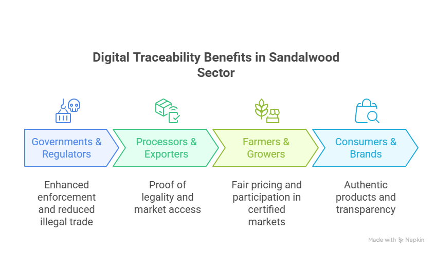 Sandalwood Supply Chain, Traceability in the Sandalwood Supply Chain, sandalwood traceability