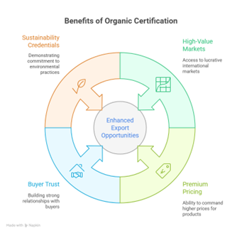 organic certification