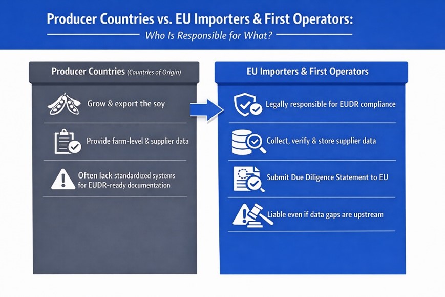 Supplier Data Collection in EUDR for the Soy Supply Chain
