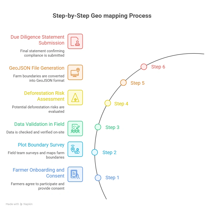 step by step geo mapping process