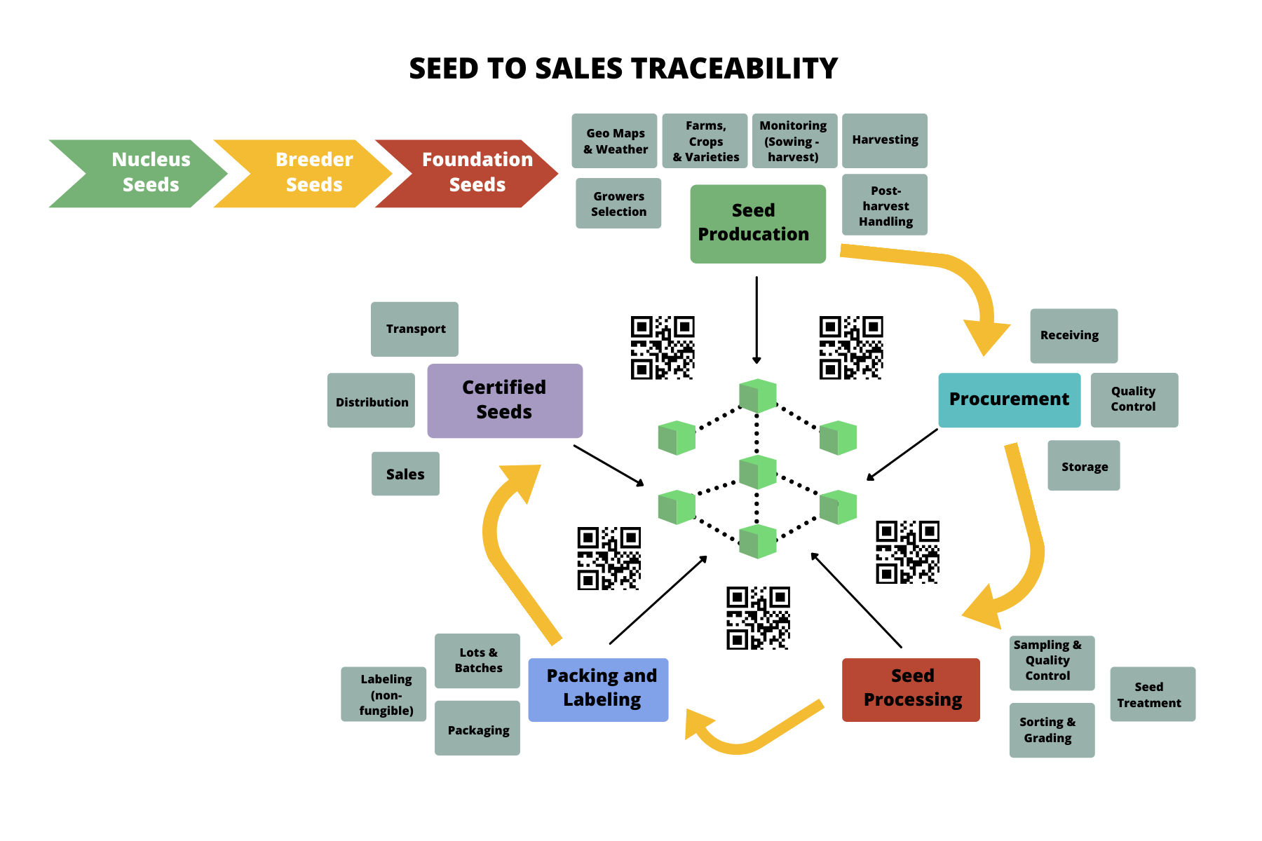 food traceability, food supply chain, seed traceability, seed supply chain