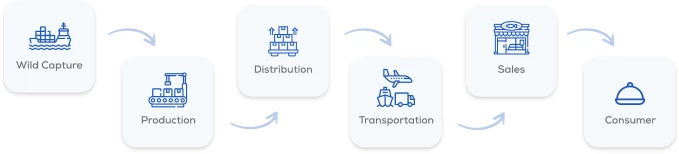 food traceability, food supply chain, traceability practices, blockchain traceability