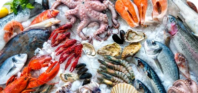 food traceability, food supply chain, blockchain traceability, agriculture traceability software
