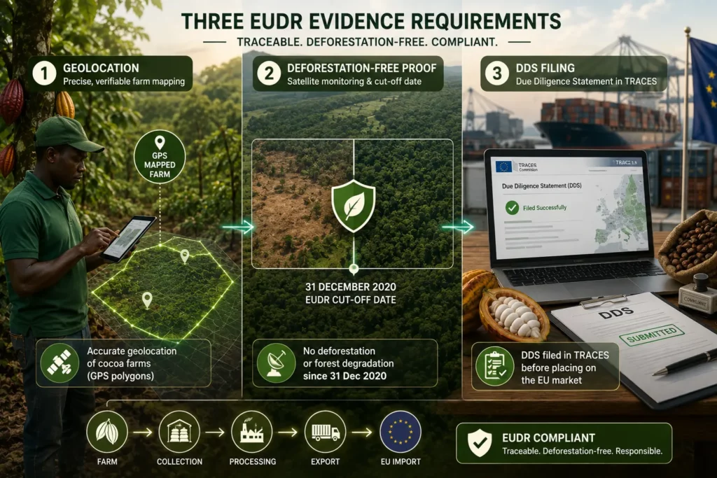 Three EUDR evidence requirements for cocoa traceability: geolocation, deforestation-free proof, and DDS filing in TRACES