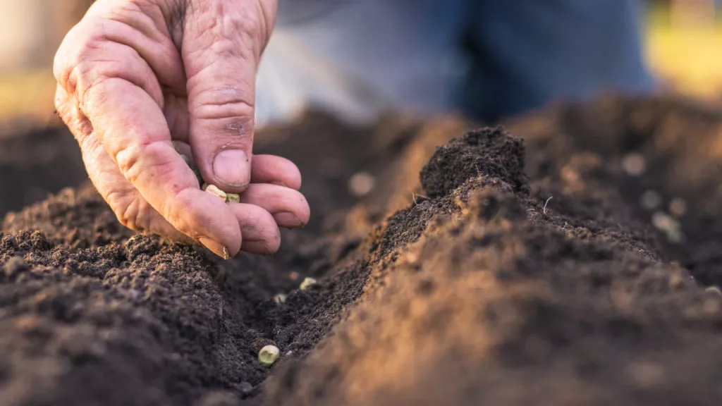 food traceability, food supply chain, blockchain traceability, traceability in agriculture