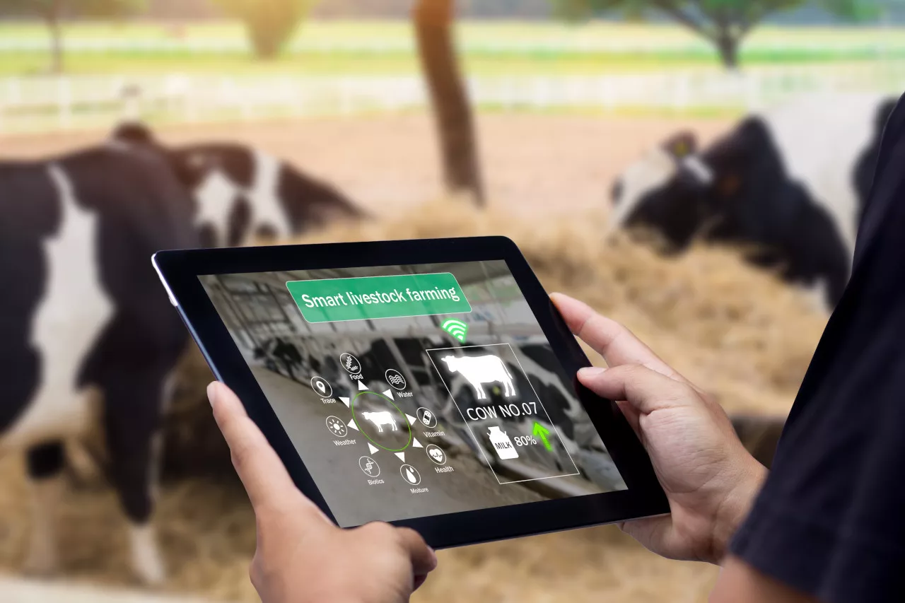 food traceability, food supply chain, food traceability solution, food traceability software