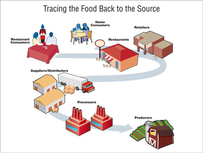 The 5 step approach to Food Traceability