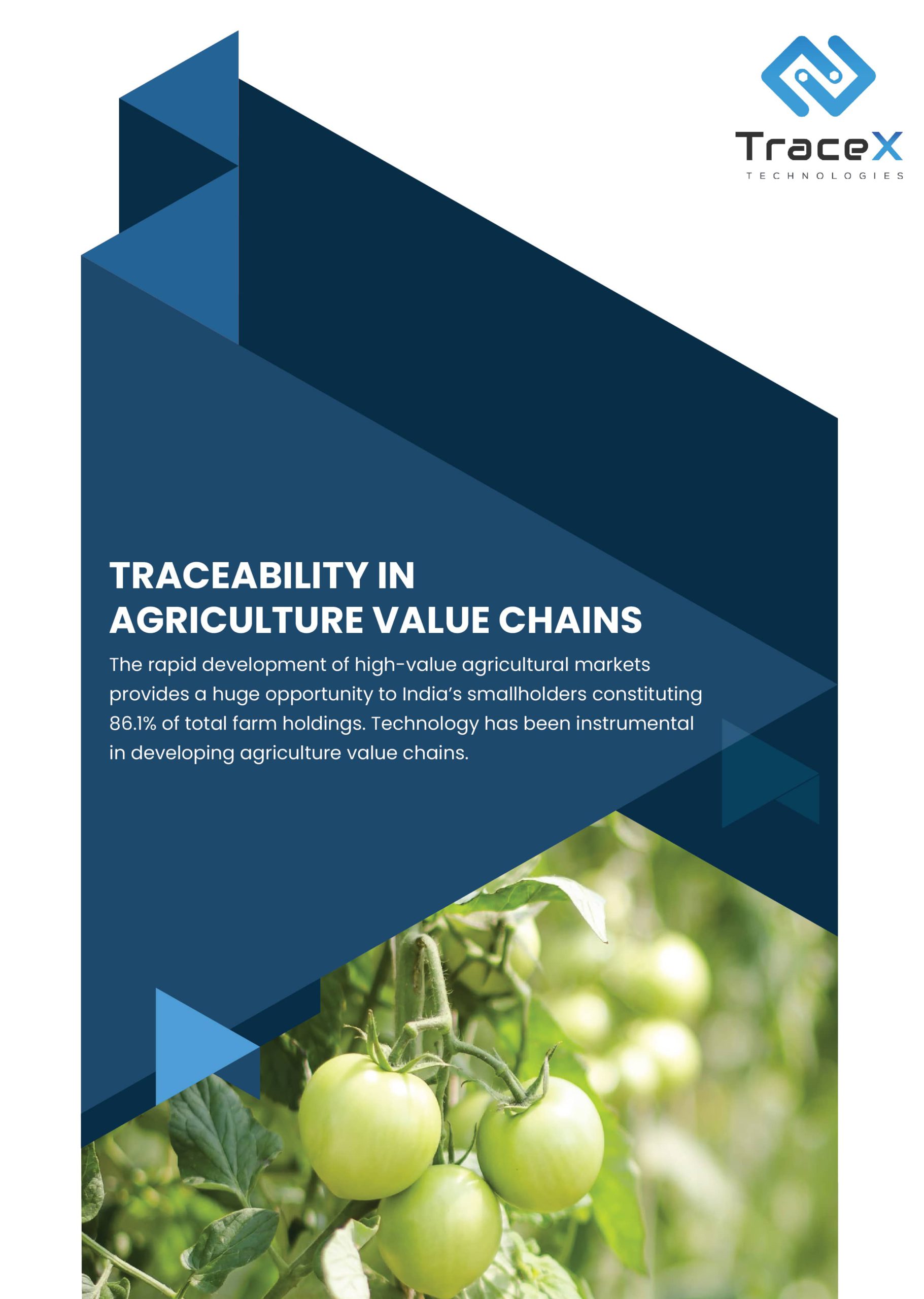 food traceability, food supply chain,