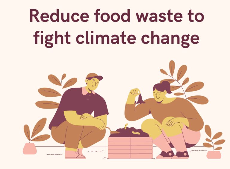 food traceability, food supply chain, reduce food waste, food waste solutions, food waste carbon footprint, solutions to reduce food waste, carbon footprint of food waste