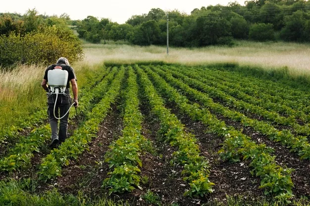 sustainable food system, food traceability, food supply chain, sustainability in food supply chain, sustainable supply chain, sustainable supply chain management