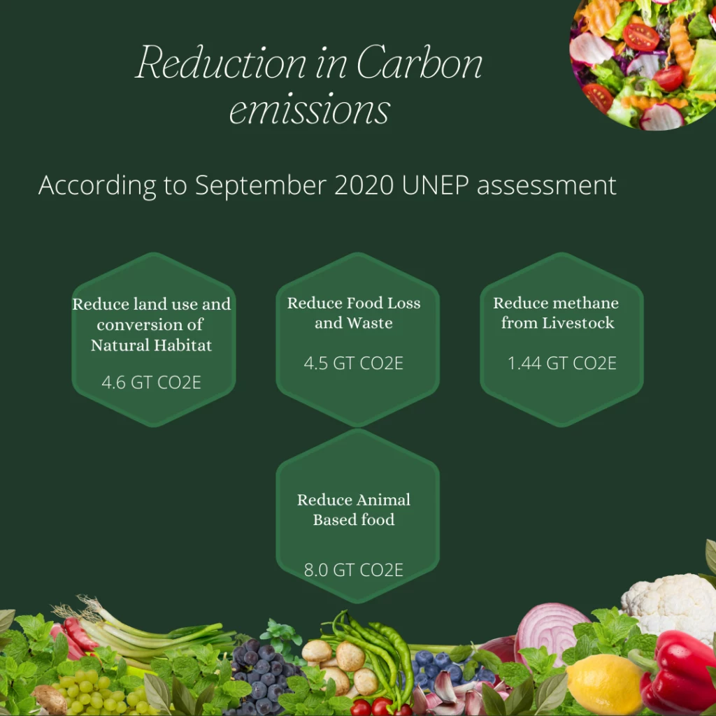 sustainable food system, food traceability, food supply chain, sustainability in food supply chain, sustainable supply chain, sustainable supply chain management