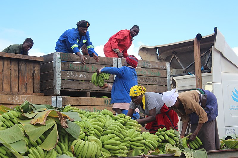 Traceability In Banana Supply Chain