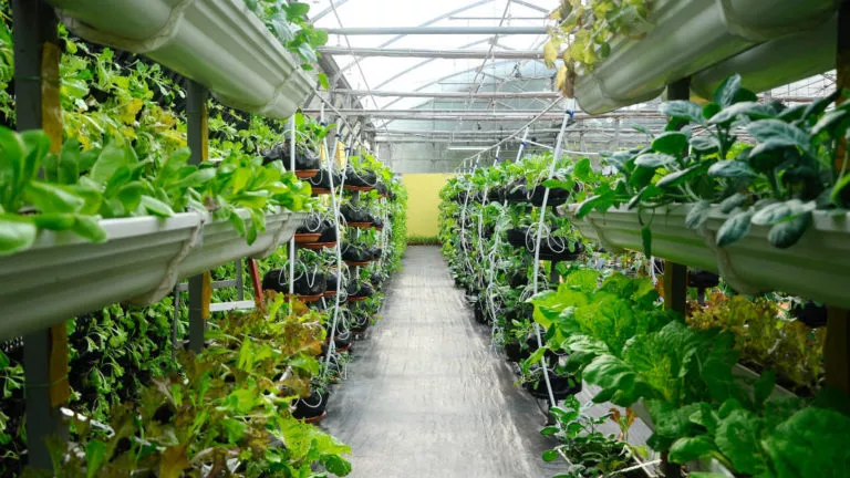 food traceability, food supply chain, farm management, farm management software