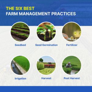 6 Best Farm Management Practices | Crop Management