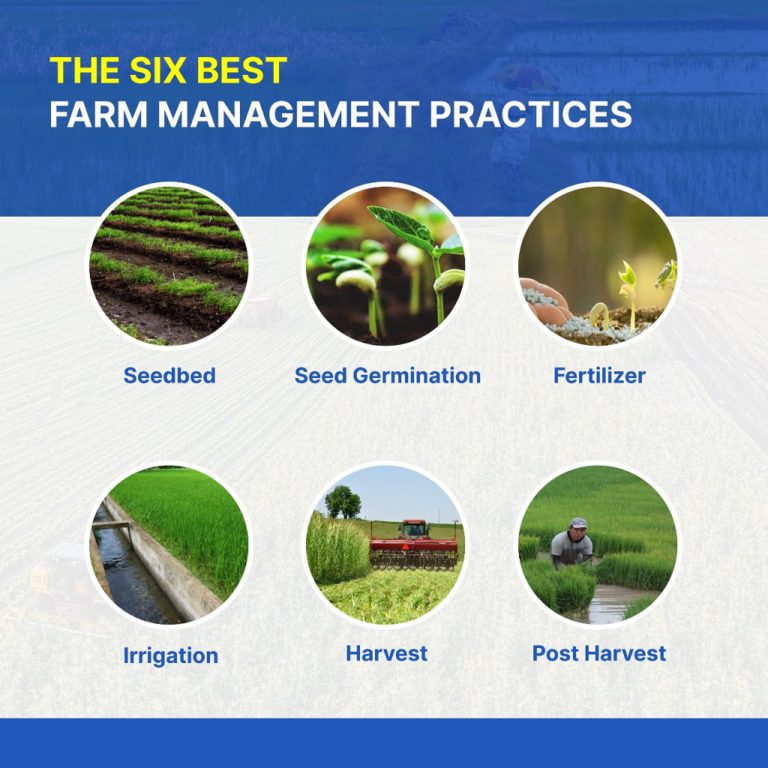 6 Best Farm Management Practices Crop Management