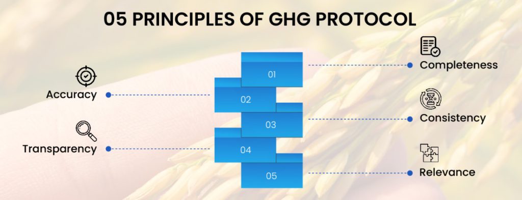 GHG Protocol 101  Scope 1, 2, 3 — VitalMetrics
