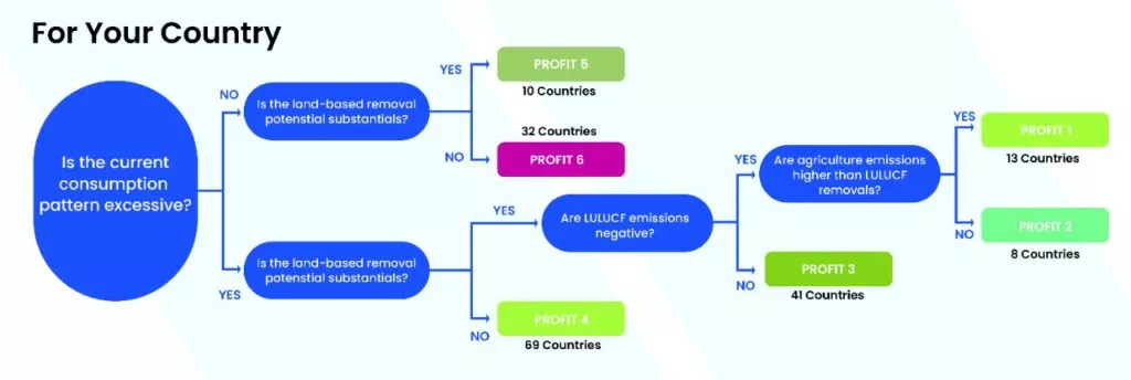 net-zero, netzero, netzero carbon accounting, carbon accounting solution