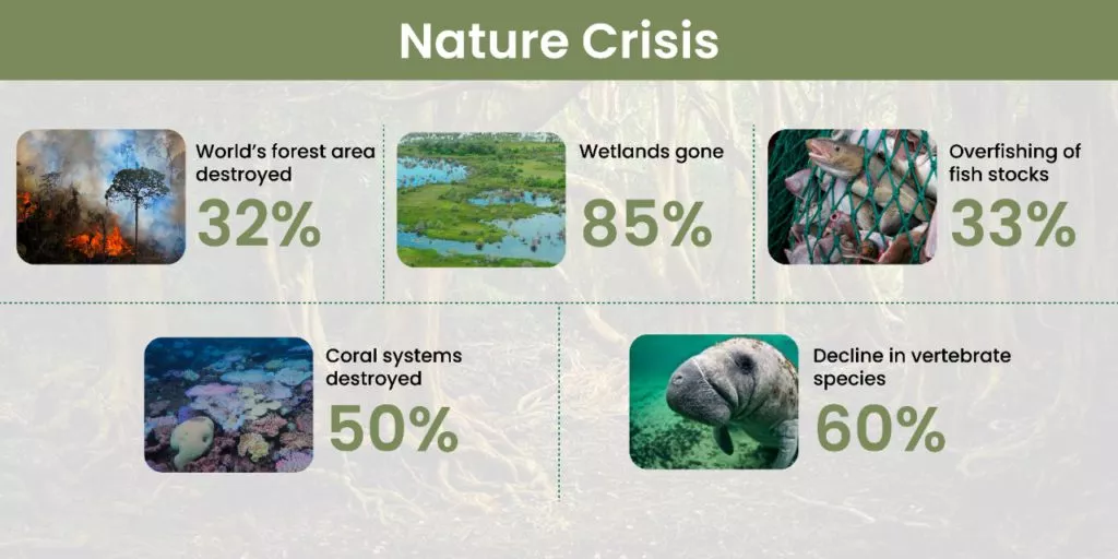 carbon credits, carbon trading platform, carbon credits trading, carbon management