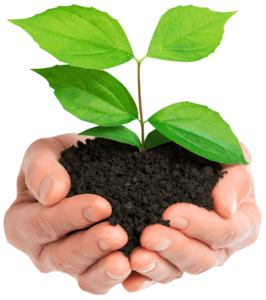 carbon soil, carbon emission accounting, carbon management platform