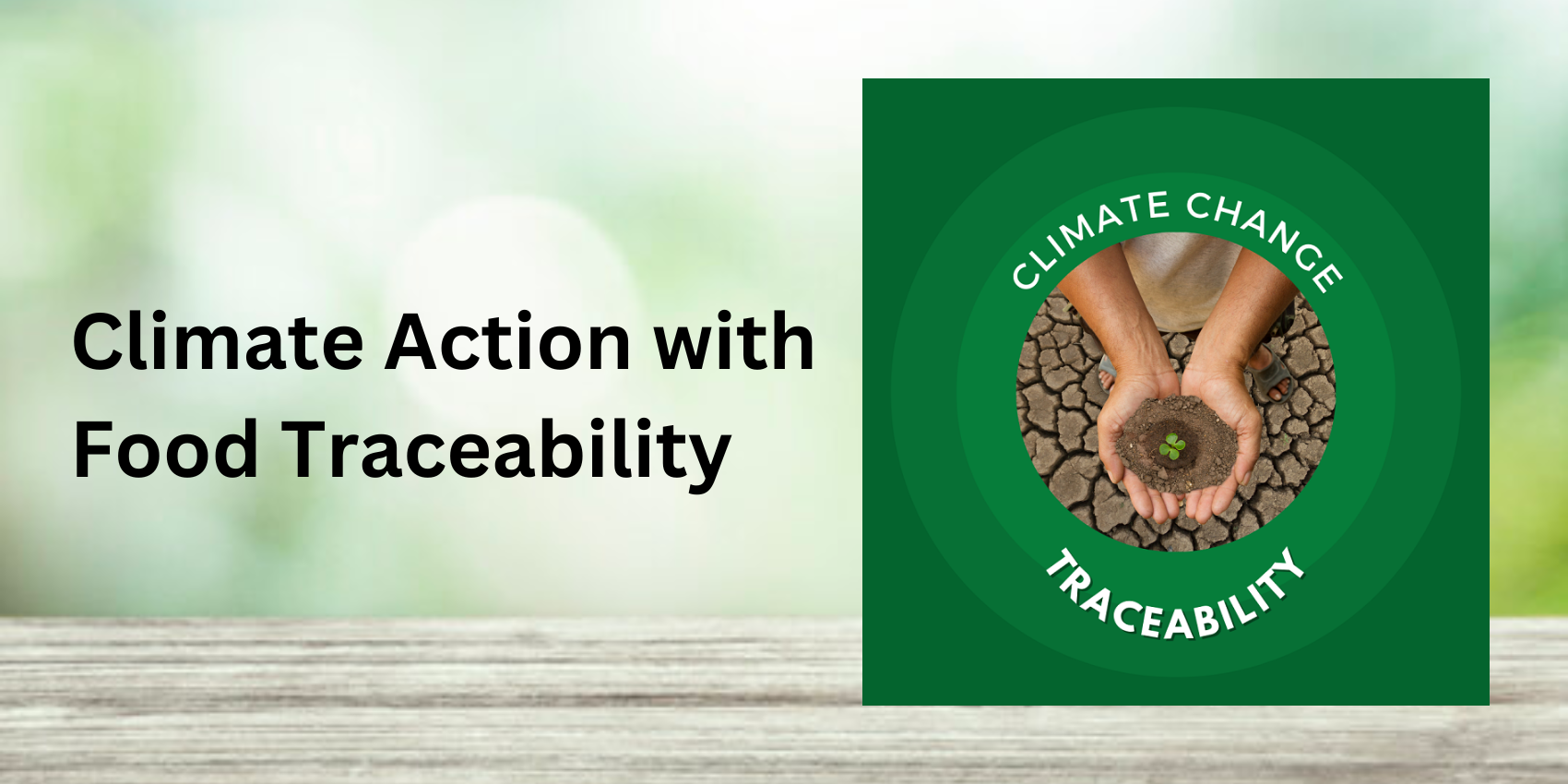 climate action for food traceability, carbon management, carbon accounting, food traceability, food supply chain