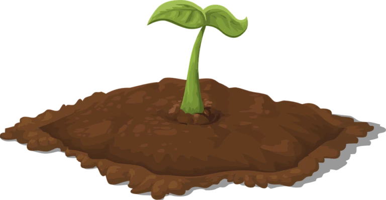 soil regenerative agriculture, soil regenerative farming, soil health in regenerative agriculture, regenerative agriculture, Regenerative Agriculture Platforms , food supply chain, food traceability