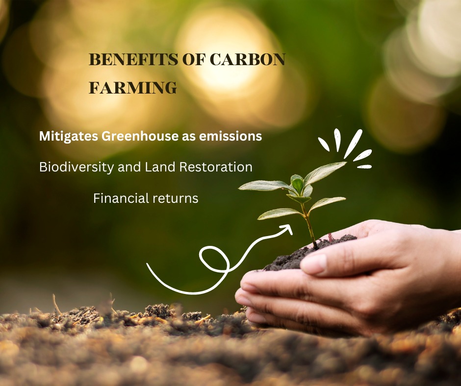carbon farming, carbon sequestration, carbon traceability, carbon supply chain, food traceability, food supply chain
