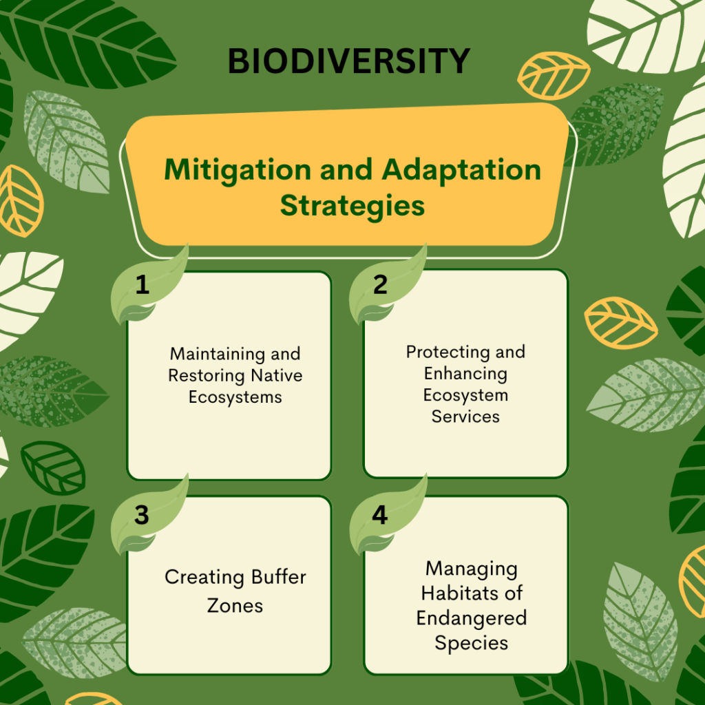 Sustainability, Tackling Climate Change and Biodiversity