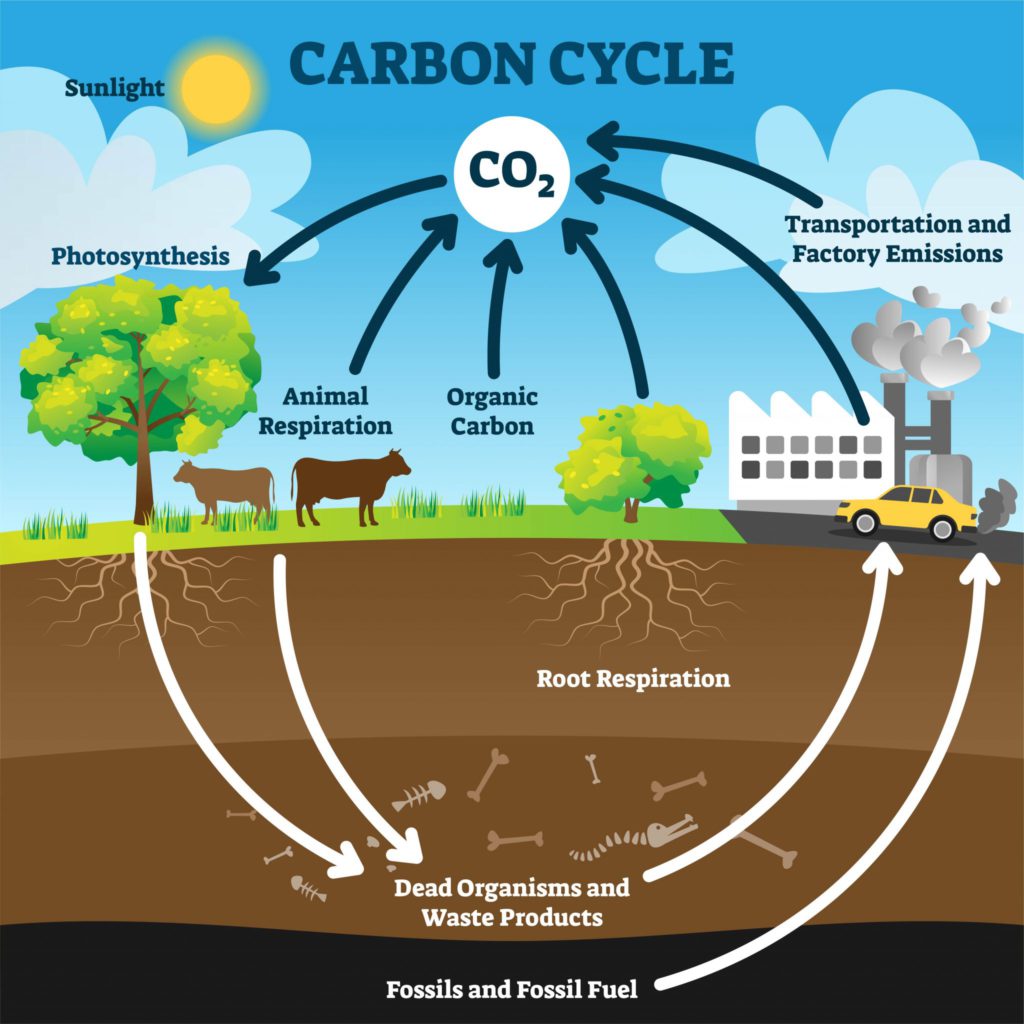 soil-carbon-sequestration-to-mitigate-climate-change
