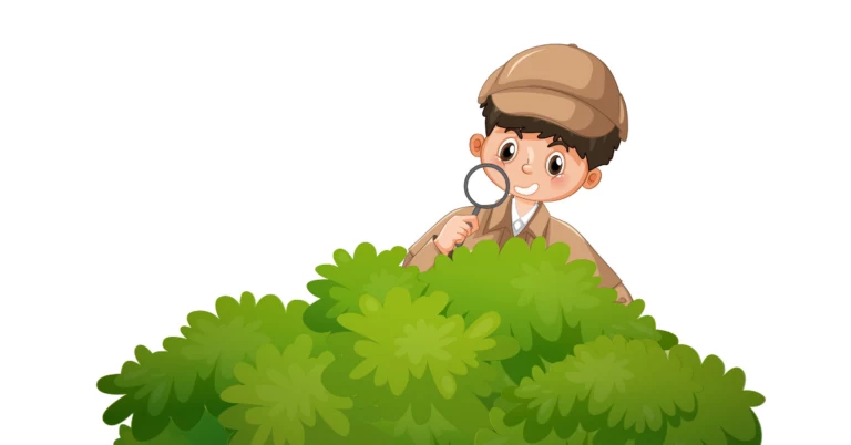 Carbon Sequestration, Carbon Sequestration in Agroforestry, carbon management, carbon management platform