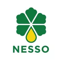 Nesso logo
