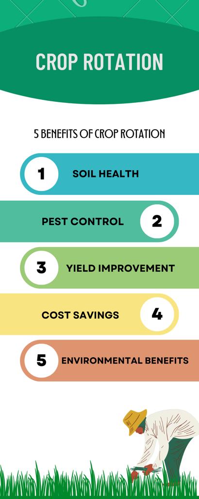 5 Benefits of Crop Rotation for Sustainable Agriculture
