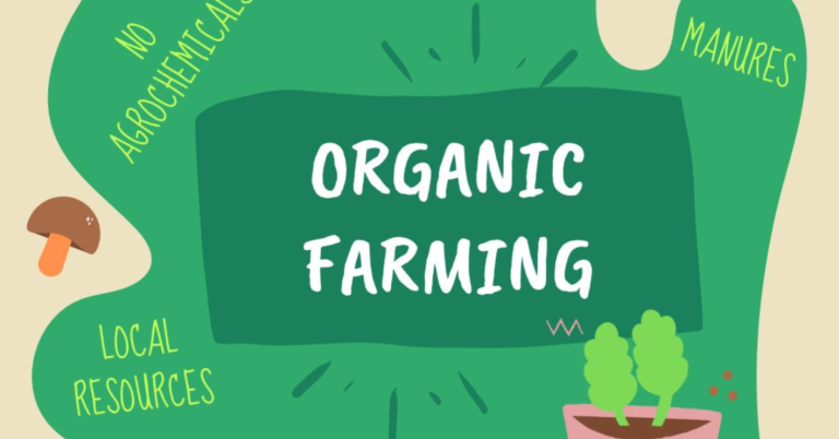 organic farming, organic farming system, organic farming for sustainable agriculture, organic farming for agriculture
