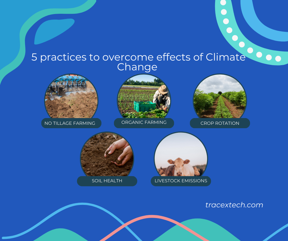 climate change in agriculture, climate smart agriculture, sustainable agriculture, farm management, crop management