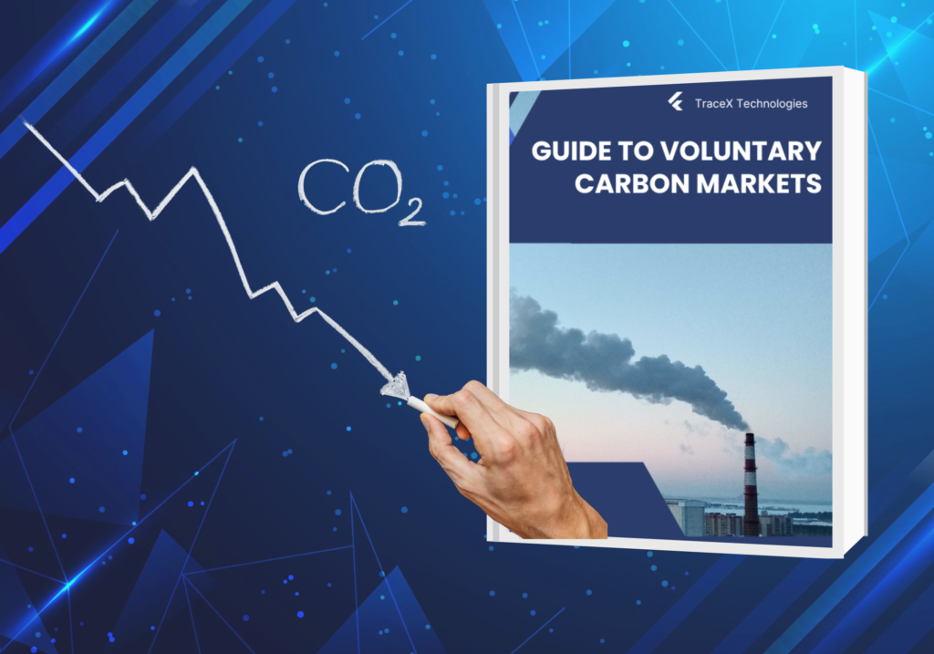 vcm, voluntary carbon market