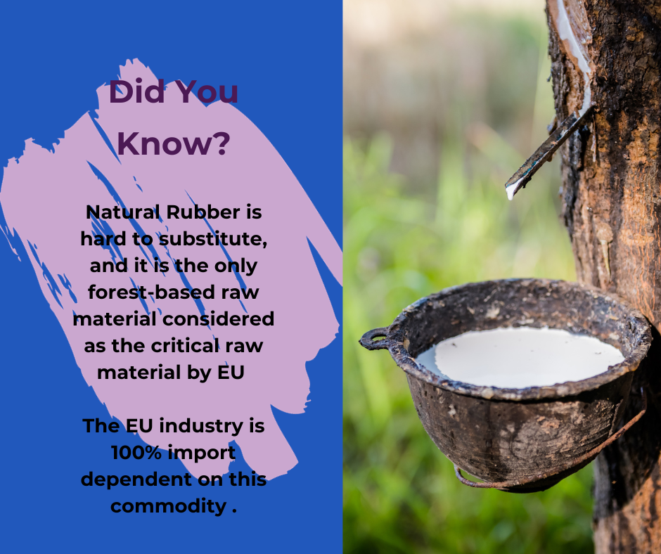 What is Sustainable Natural Rubber?