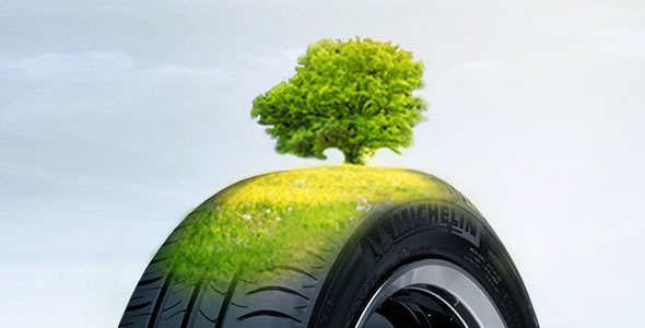 sustainable rubber, tree to tyre, sustainable supply chain, tree to tyre sustainable rubber