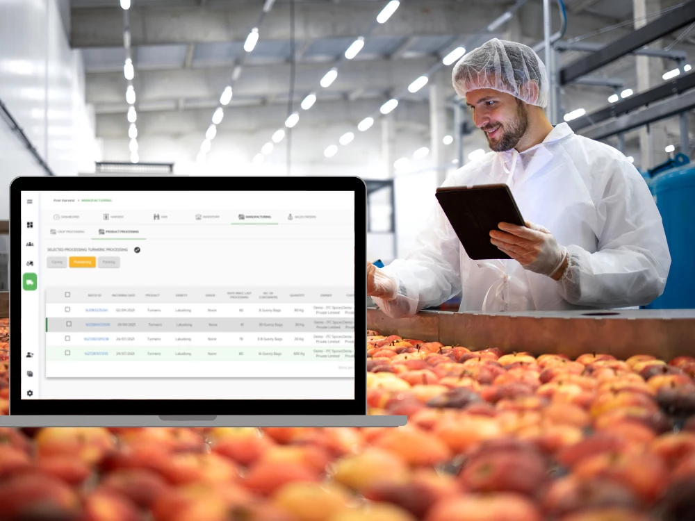 Product processing post harvest management