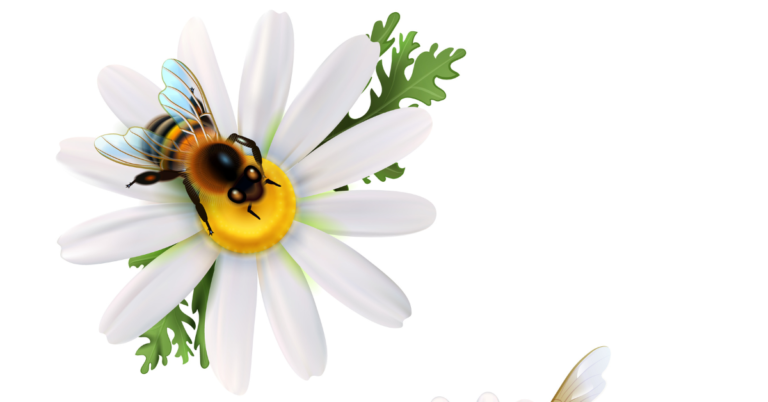 Organic in Pollinator Health, Organic in Pollinator, organic agriculture