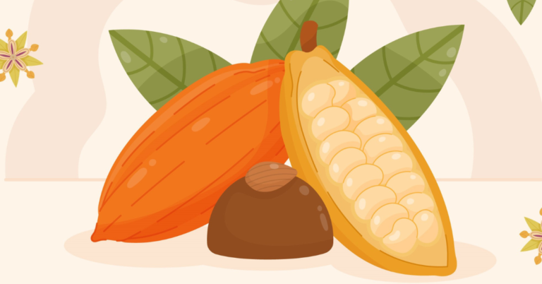 cocoa traceability in africa, cocoa supply chain in africa, cocoa supply chain, cocoa traceability