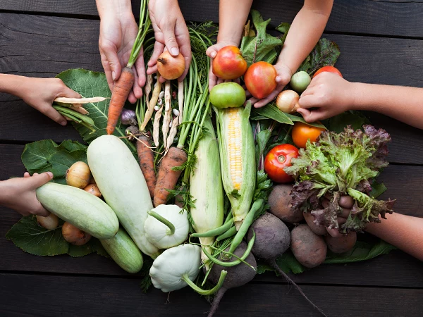 farm management, farm management for enterprises, sustainability demands, food traceability, food supply chain