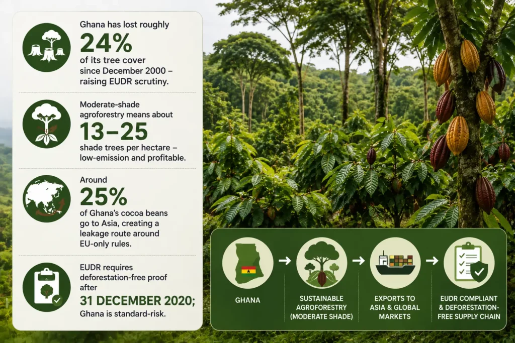 Ghana cocoa agroforestry statistics: 24 percent tree cover lost since 2000, 13 to 25 shade trees per hectare, 25 percent of beans going to Asia, and the 31 December 2020 EUDR cutoff
