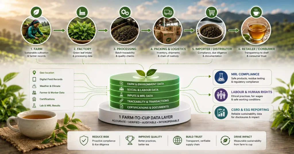 Six-stage farm-to-cup tea supply chain feeding one data layer covering farm, social, MRL, traceability and certification data, branching into MRL compliance, labour and human rights, and CSRD/ESG reporting
