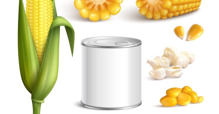 Sustainable Solution, Ethanol from Maize, Ethanol production from maize, Ethanol production