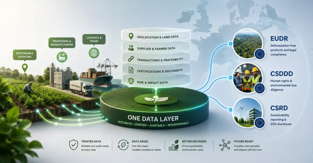 One data layer combining geolocation, supplier and farmer data, transactions and traceability, certifications and risk data, feeding EUDR, CSDDD and CSRD
