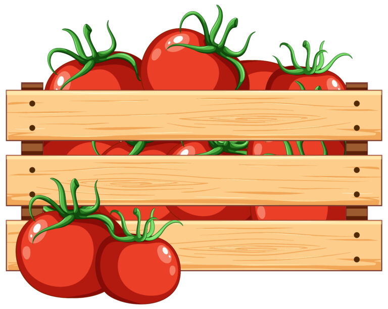 tomato supply chain, tomato traceability, traceability in tomato supply chain, farm management, farm management software