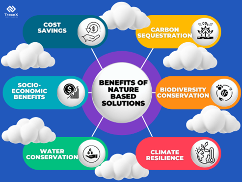 guide to nature based solution, guide to nature-based solutions, nature based solutions, nature-based solution